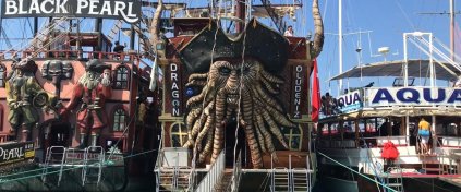 Turbiletleri -  Günübirlik Turlar