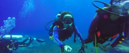 Turbiletleri -  Günübirlik Turlar